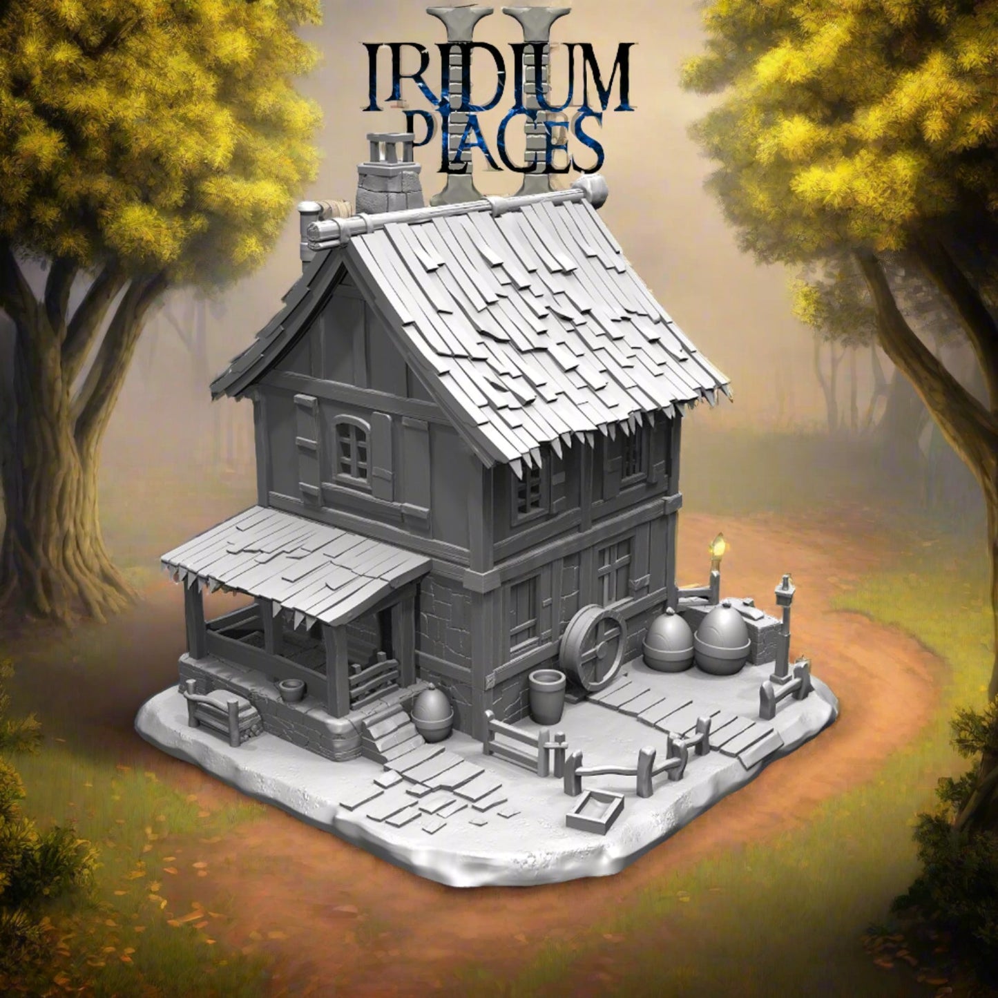 Iridium Places II - Tina's House